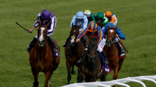 Minnie Hauk, Graffard, Japan vie for Prix de l'Arc de Triomphe glory