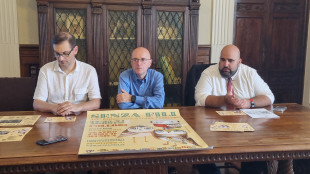 Teatro, musica e circo nel segno di Pinocchio 'senza fili'