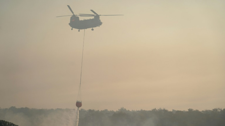 Chypre: deux morts dans un feu de for&ecirc;t attis&eacute; par la chaleur