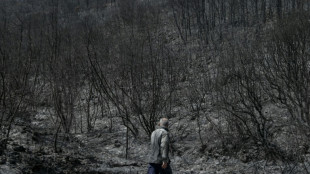 Jefe de la ONU advierte que comenz&oacute; la "era de la ebullici&oacute;n" clim&aacute;tica