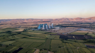 La demanda de petr&oacute;leo, gas y carb&oacute;n alcanzar&aacute; su m&aacute;ximo en una d&eacute;cada, seg&uacute;n la AIE