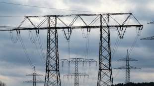 Netzentgelte f&uuml;r Stromkunden steigen 2024 um fast elf Prozent
