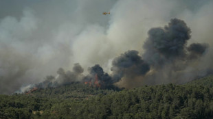 Le plus gros incendie de l'été fait un mort et neuf blessés dans l'Aude