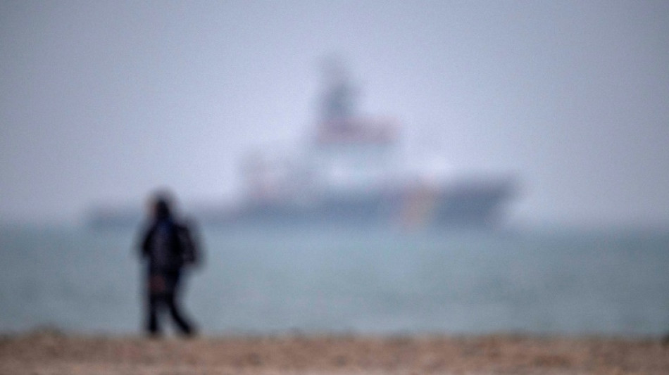 Babyseehund verirrt sich an Deichpromenade: Einsatz für Feuerwehr in Bremerhaven