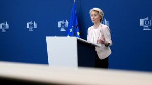 La Comisi&oacute;n Europea propondr&aacute; flexibilizar la norma para que automotoras eviten multas por emisiones en 2025