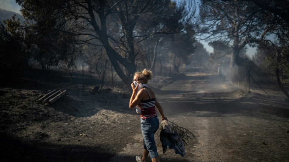 Waldbrände in Westtürkei und auf Kreta - zwei Todesopfer nahe Izmir
