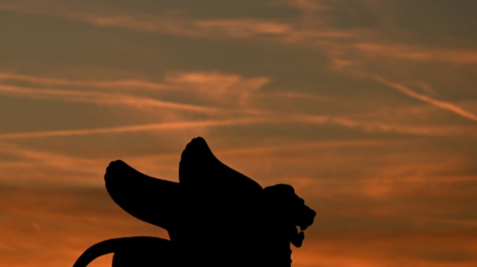 La Mostra de Venise couronne un Frankenstein au f&eacute;minin avec Emma Stone