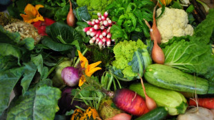 Barmer-Umfrage: Nur jede zweite Familie isst t&auml;glich zusammen 