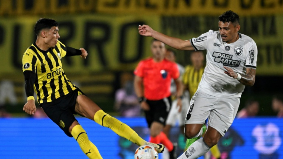 Botafogo e Atl&eacute;tico-MG disputar&atilde;o a 6&ordf; final brasileira da hist&oacute;ria da Libertadores