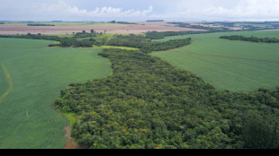 Br&eacute;sil: au pays des "agrotoxiques", les biopesticides ouvrent une br&egrave;che