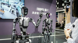 Intelligence artificielle: les Chinois optimistes malgr&eacute; les restrictions occidentales 