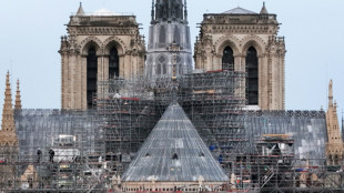L'"&eacute;clat" retrouv&eacute; de Notre-Dame d&eacute;voil&eacute; lors d'une ultime visite de Macron