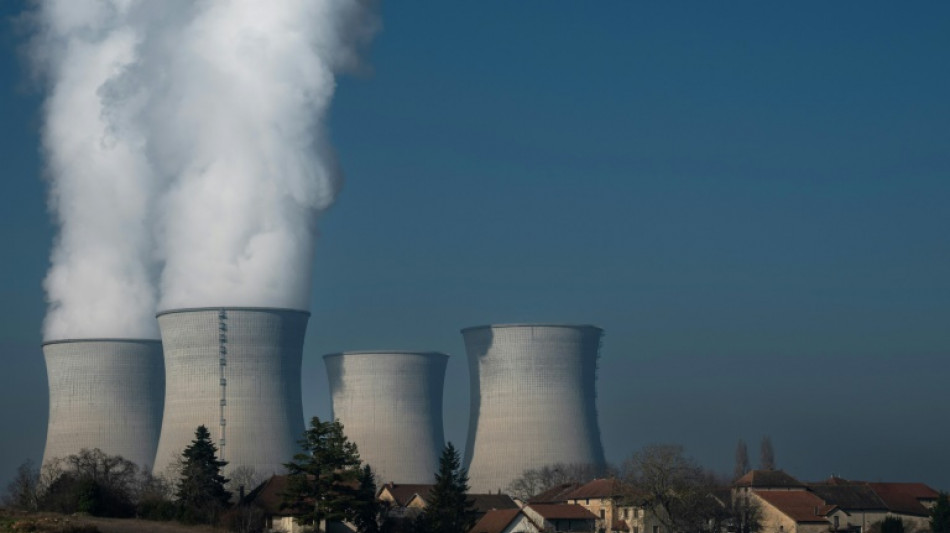 Nucl&eacute;aire: EDF &agrave; l'or&eacute;e d'une ann&eacute;e encore compliqu&eacute;e