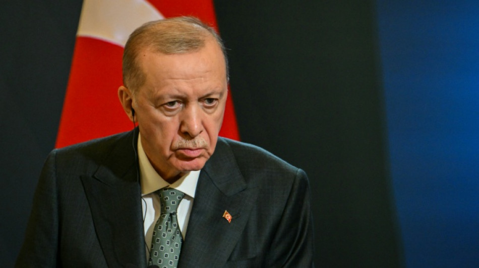T&uuml;rkischer Pr&auml;sident Erdogan will zwischen dem Iran und Israel vermitteln