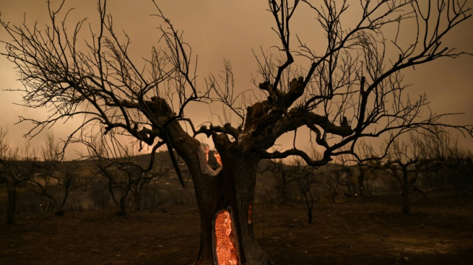 D&uuml;stere Expertenwarnung in Hamburg: Klimawandel "in gro&szlig;en Teilen ungebremst"