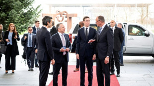 Zelensky se reúne com enviados dos EUA em Berlim para negociar fim do conflito