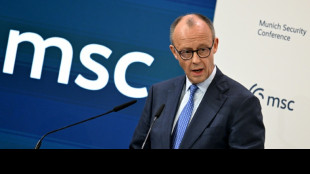 Germany's Merz urges US to repair ties with Europe