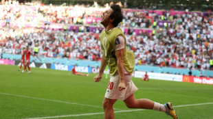 Un vicepresidente iran&iacute; reclama el regreso del delantero Azmoun para el Mundial