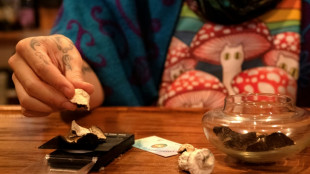 Legalizar fungos alucin&oacute;genos com Trump? Seguidores da psicodelia est&atilde;o c&eacute;ticos