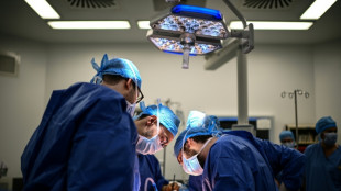 Positiver Trend bei Organspenden h&auml;lt an - steigende Zahlen zu Jahresauftakt