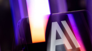 New York City pension fund asks Anthropic to delay IPO