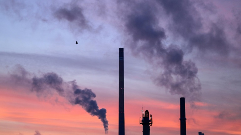Deutsche Industrie begr&uuml;&szlig;t milliardenschwere Klimaschutzvertr&auml;ge