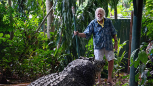 Muore in Australia il croccodrillo pi&ugrave; grande del mondo
