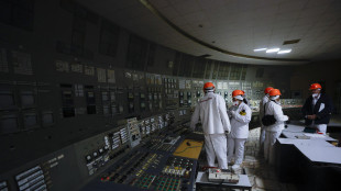 Il Papa ricorda Chernobyl, 'l'atomica sia al servizio della vita'