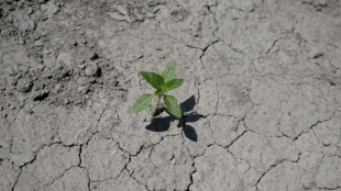 Chaleur printani&egrave;re: presque 40 jours de suite au-dessus des normales