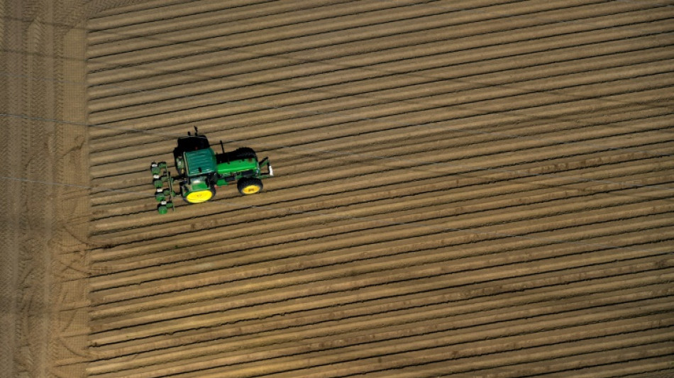 Brandenburger Gericht muss neu &uuml;ber Verkauf von Land durch Agrarkonzern verhandeln