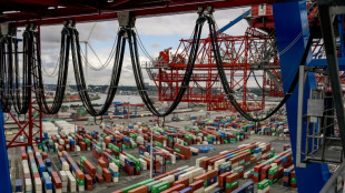 Handelsstreit: Stimmung deutscher Firmen im Ausland tr&uuml;bt sich ein
