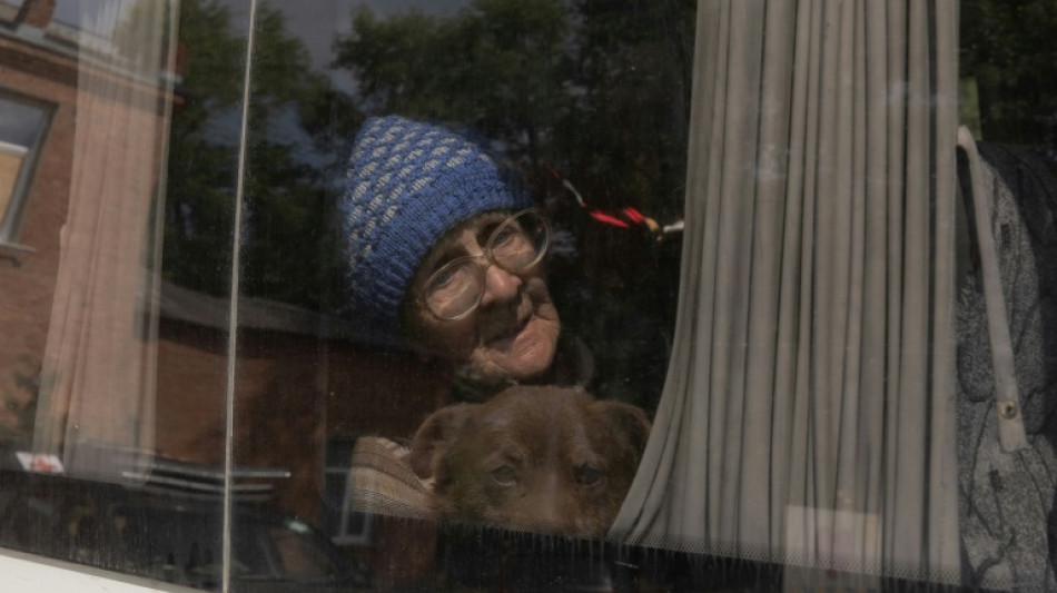 "Les chiens n'ont pas le choix": des volontaires se ruent &agrave; leur secours dans la r&eacute;gion ukrainienne attaqu&eacute;e de Kharkiv