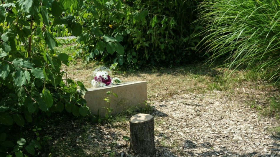 Gedenkbaum für ermordeten Juden in Frankreich abgesägt