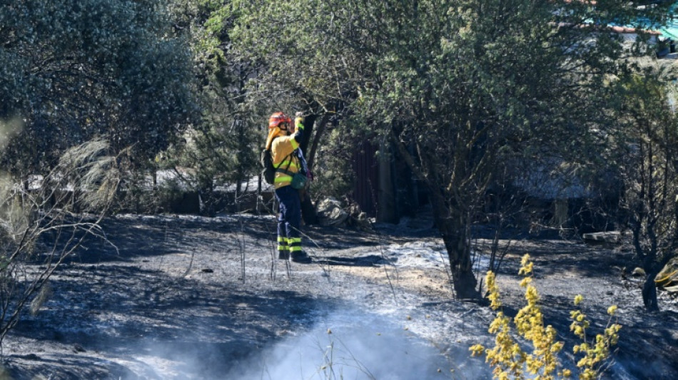 Estabilizado el incendio en el sur de Espa&ntilde;a y autorizado el regreso de 1.500 turistas desalojados