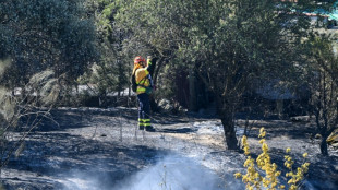 Estabilizado el incendio en el sur de Espa&ntilde;a y autorizado el regreso de 1.500 turistas desalojados