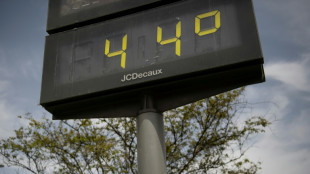 Canicule: un &eacute;t&eacute; 2022 tr&egrave;s meutrier en Europe