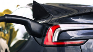 Frankreich f&ouml;rdert E-Auto-Kauf mit neuer Pr&auml;mie - aber nur bei europ&auml;ischer Batterie