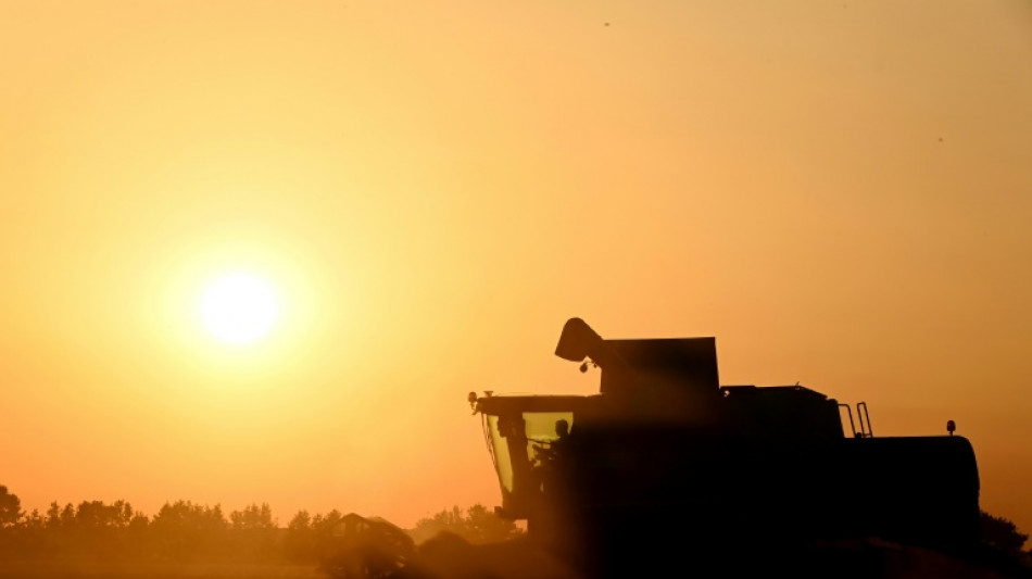 Agriculture: le Parlement adopte la loi Duplomb-Menonville et la réintroduction sous conditions d'un pesticide