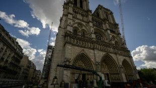 Catedral de Notre-Dame recebeu 6 milh&otilde;es de visitantes desde reabertura