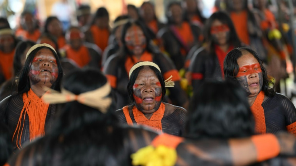 Br&eacute;sil: des leaders indig&egrave;nes veulent peser comme les chefs d'Etat &agrave; la COP30