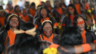 Br&eacute;sil: des leaders indig&egrave;nes veulent peser comme les chefs d'Etat &agrave; la COP30