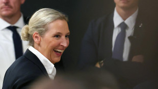 Weidel, 'un risultato storico, chiaro mandato a governare'