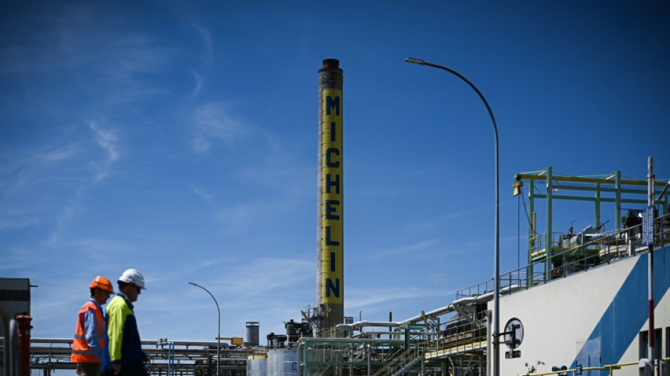 Chimie verte ou &eacute;conomie circulaire? Michelin mise sur le biosourc&eacute;, avant le recyclage