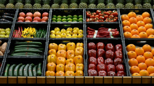 Flexitarische Kost und Darmgesundheit: Experten stellen Ern&auml;hrungstrends vor
