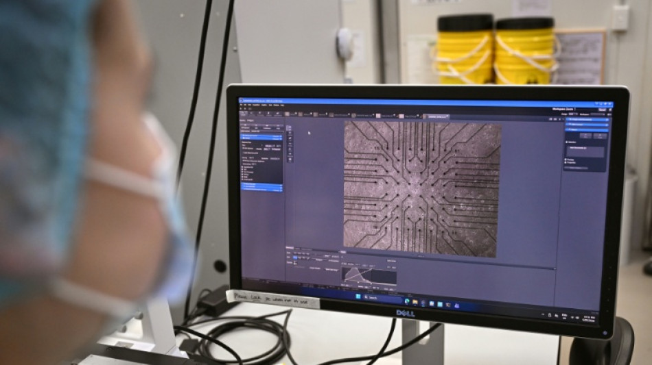 Des neurones prennent les commandes du jeu "Doom" dans un laboratoire australien