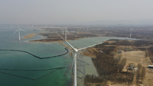Clean energy giant Goldwind leads China's global sector push