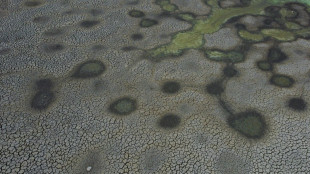 Inusual sequ&iacute;a golpea la regi&oacute;n de Magallanes, la m&aacute;s austral de Chile