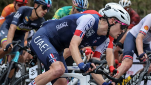 Mondiaux de cyclisme: "pas de miracle" pour les Fran&ccedil;ais malgr&eacute; un Seixas "&eacute;patant"