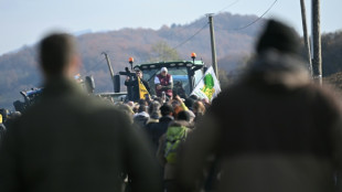 Dermatose: des agriculteurs s'opposent aux abattages en Ariège, tensions avec les gendarmes