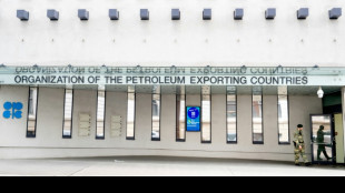 Key OPEC+ members boost oil production